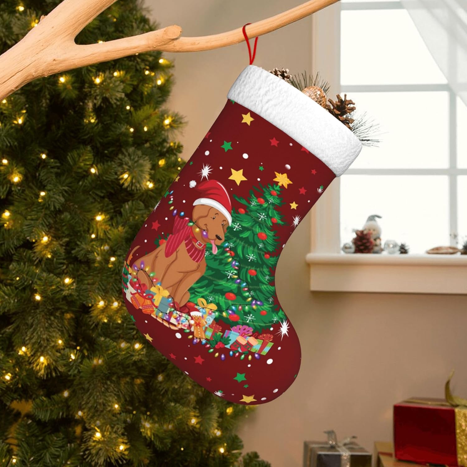 Christmas Stocking Hanging - Design lumineux de noël pour chien,